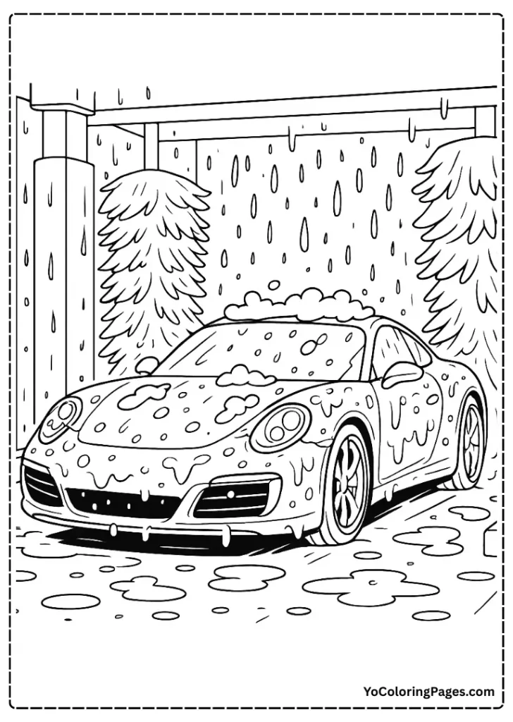 Cleaning Sports Car